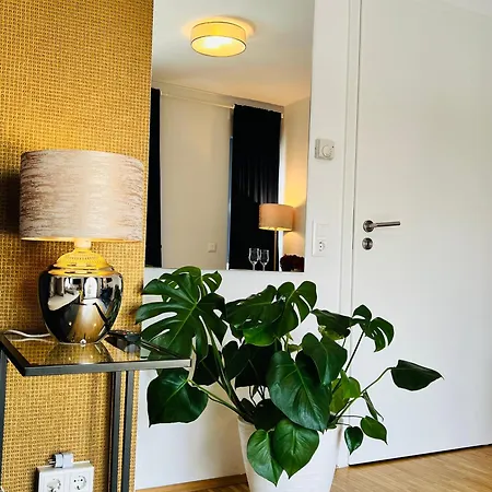 Apartment Moderne Naehe Hbf-lift-tiefgarage-contactless Check-in *
